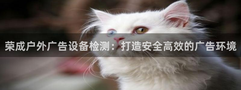 杏宇平台代理多少钱一次：荣成户外广告设备检测：打造安全高效的广告环境