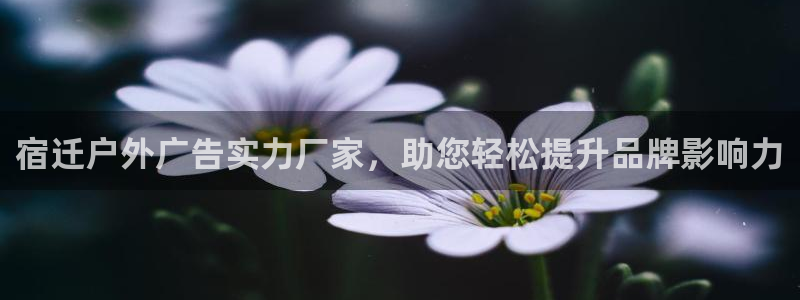 杏宇平台怎么样知乎
