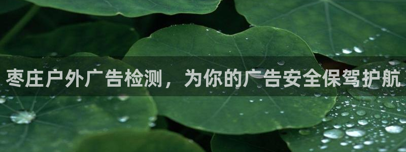 杏宇官方平台官网入口