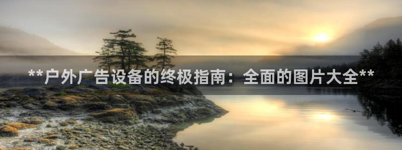 杏宇平台代理多少钱一个月：**户外广告设备的终极指南：全面的图片大全**