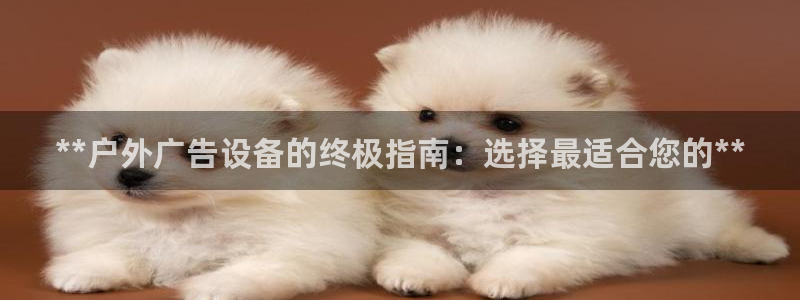 杏宇平台怎么样：**户外广告设备的终极指南：选择最适合您的**