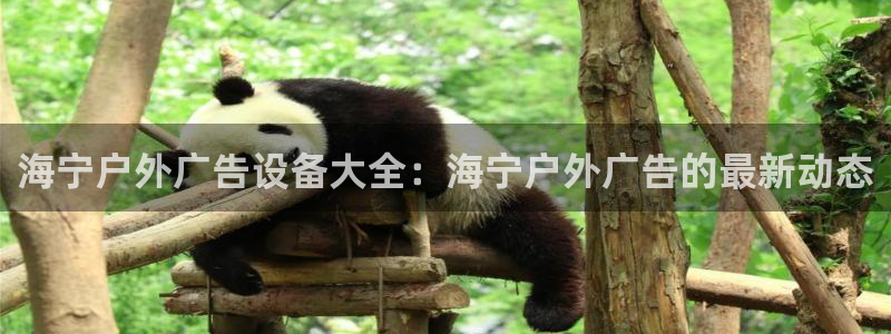 杏宇平台注册地址在哪里