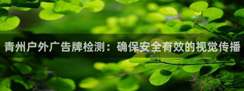 杏宇平台代理怎么样可靠吗