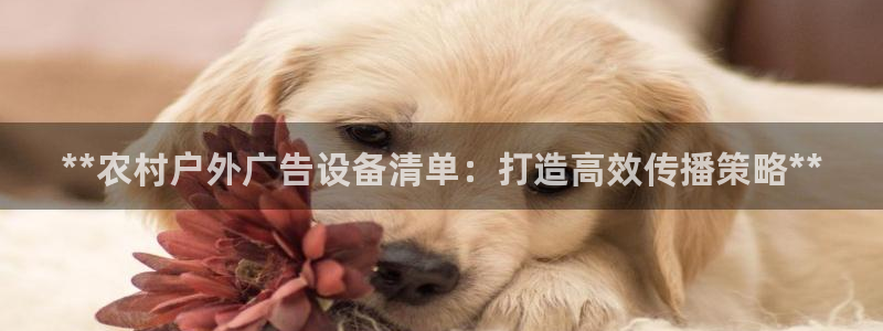 杏宇平台注册地址：**农村户外广告设备清单：打造高效传播策略**