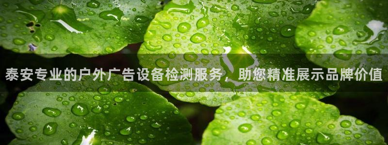 杏宇平台招商电话号码：泰安专业的户外广告设备检测服务，助您精准展示品牌价值