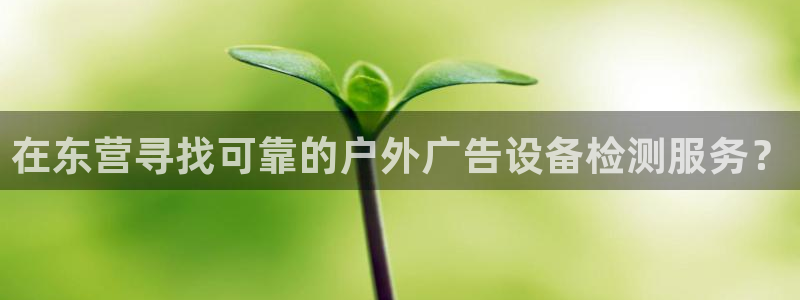 杏宇平台代理怎么样：在东营寻找可靠的户外广告设备检测服务？