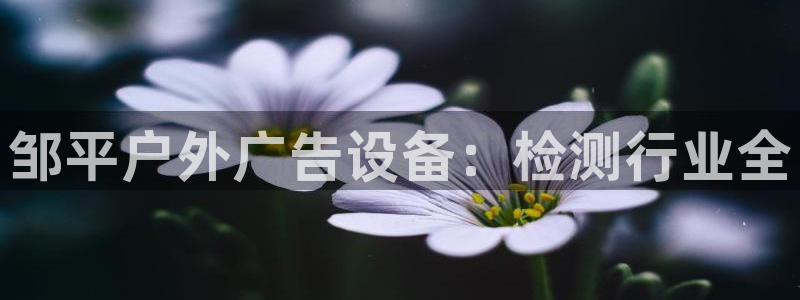 杏宇平台怎么样赚钱
