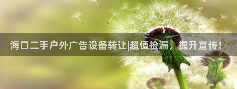 杏宇平台总代理电话