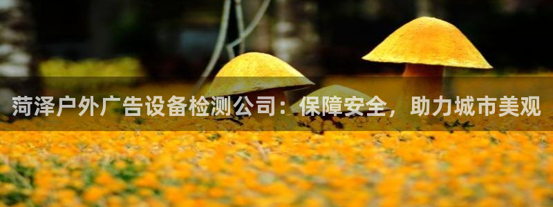 杏宇平台怎么样知乎