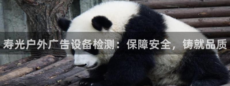 杏宇平台提现为什么这么久呢：寿光户外广告设备检测：保障安全，铸就品质