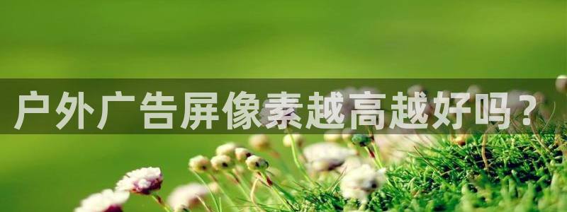 杏宇平台代理多少钱一个月