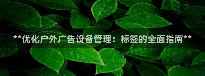 杏宇平台招商电话号码：**优化户外广告设备管理：标签的全面指南**