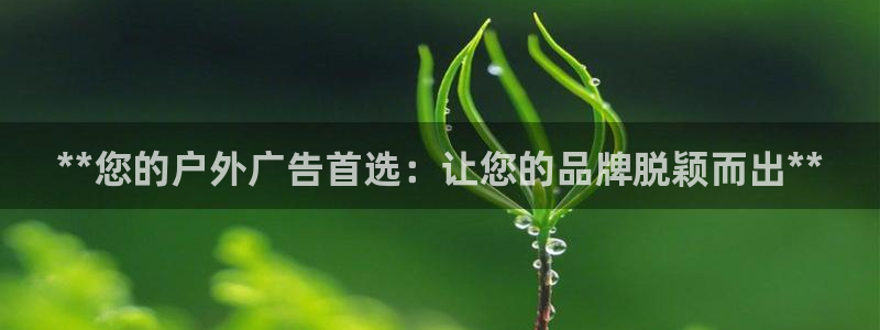 杏宇平台招商电话号码