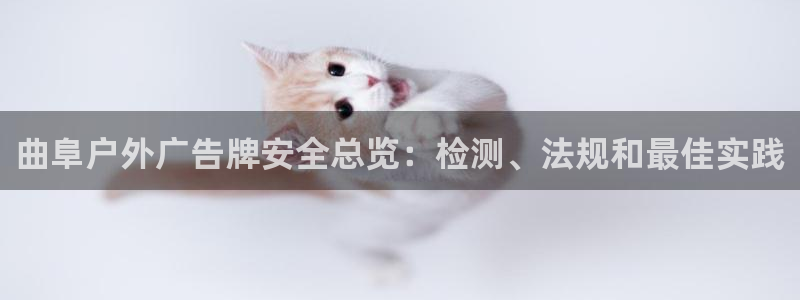 杏宇平台登录步骤是什么