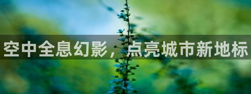 杏宇平台登陆