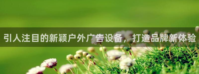 杏宇平台代理
