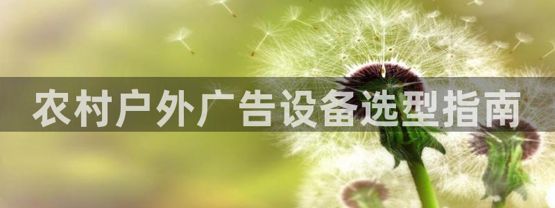 杏宇平台代理怎么赚钱快
