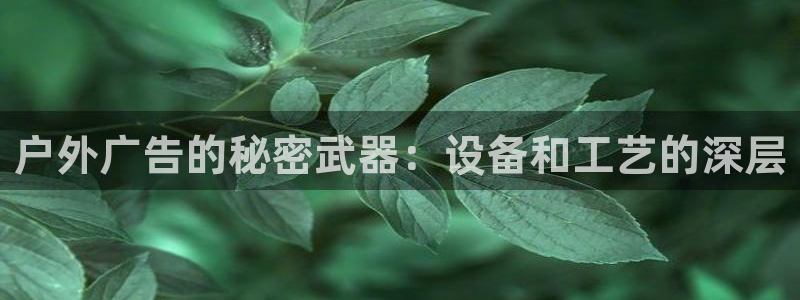 杏宇官方平台官网