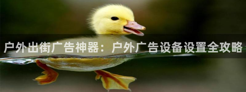 杏宇平台代理多少钱一个月