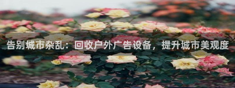 杏宇平台登陆