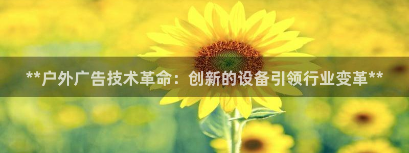 杏宇平台主管