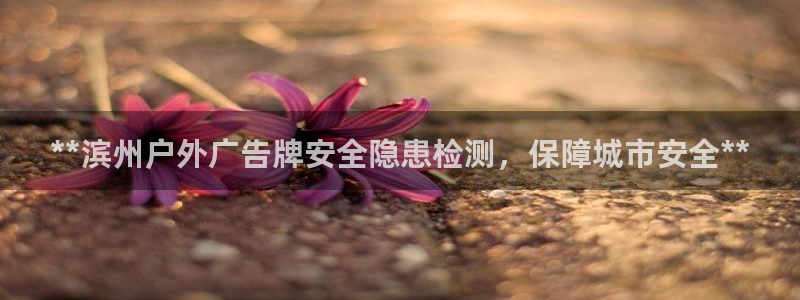 杏宇平台代理怎么赚钱的