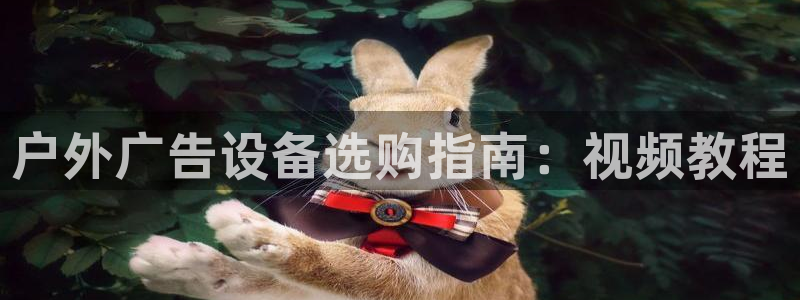 杏宇代理注册
