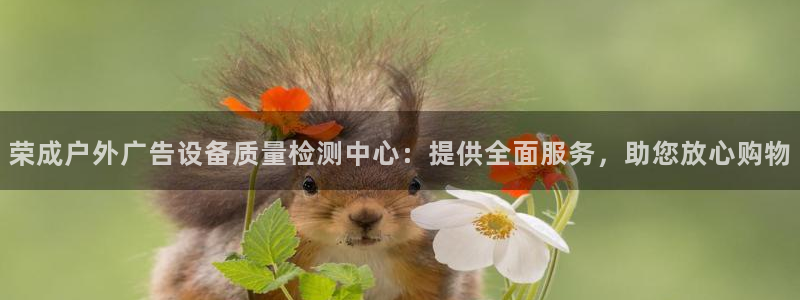 杏宇平台代理多少钱一个月