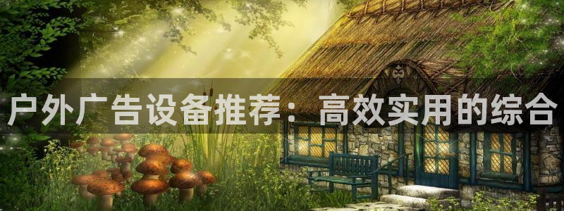 杏宇平台代理多少钱一个：户外广告设备推荐：高效实用的综合