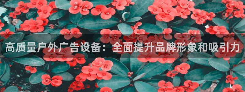 杏宇平台注册地址在哪里：高质量户外广告设备：全面提升品牌形象和吸引力