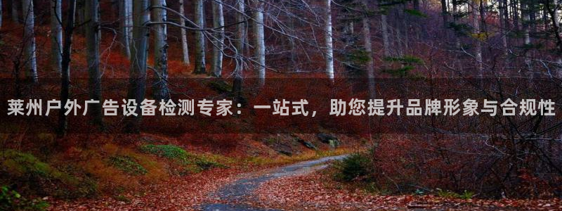 杏宇平台招商怎么样：莱州户外广告设备检测专家：一站式，助您提升品牌形象与合规性