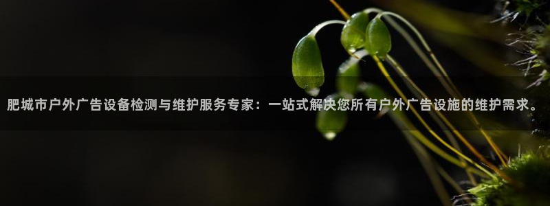 杏宇平台注册地址在哪里：肥城市户外广告设
