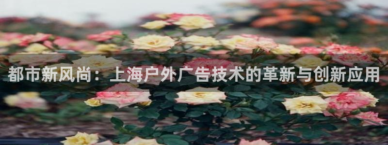杏宇平台怎么样