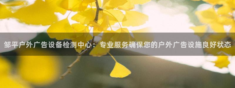 杏宇平台代理怎么样