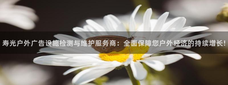 杏宇平台主管
